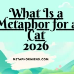 What Is a Metaphor for a Cat
