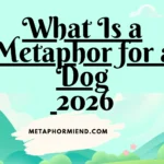 What Is a Metaphor for a Dog