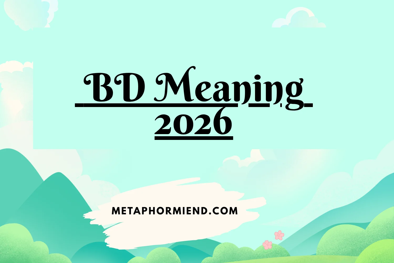 BD Meaning