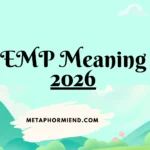 EMP Meaning