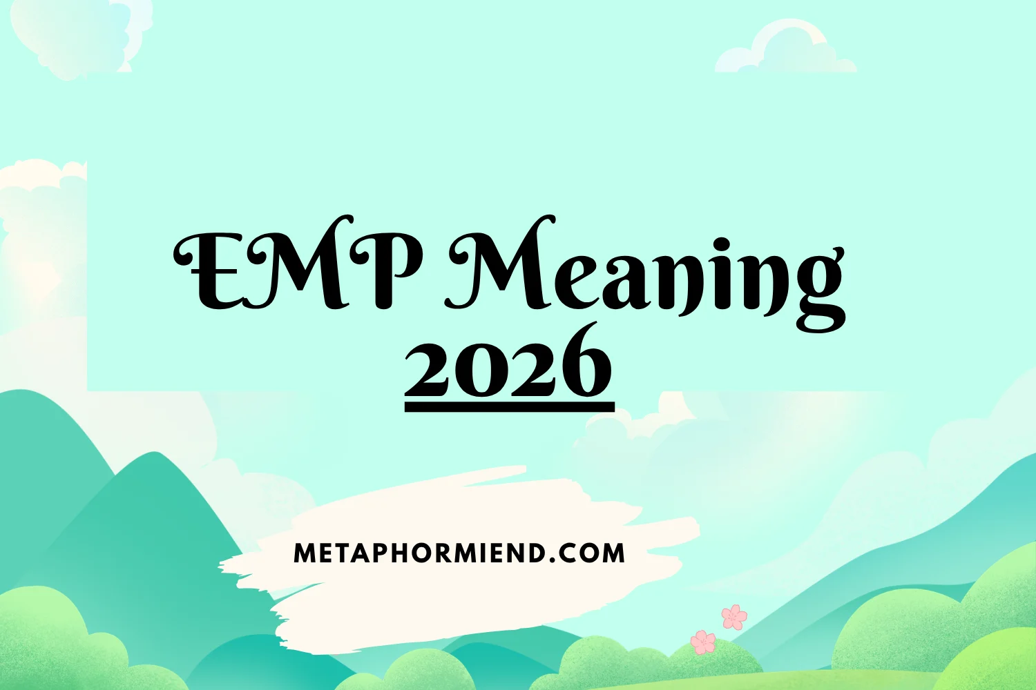 EMP Meaning