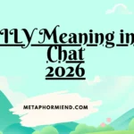 ILY Meaning in Chat