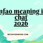 lmfao meaning in chat