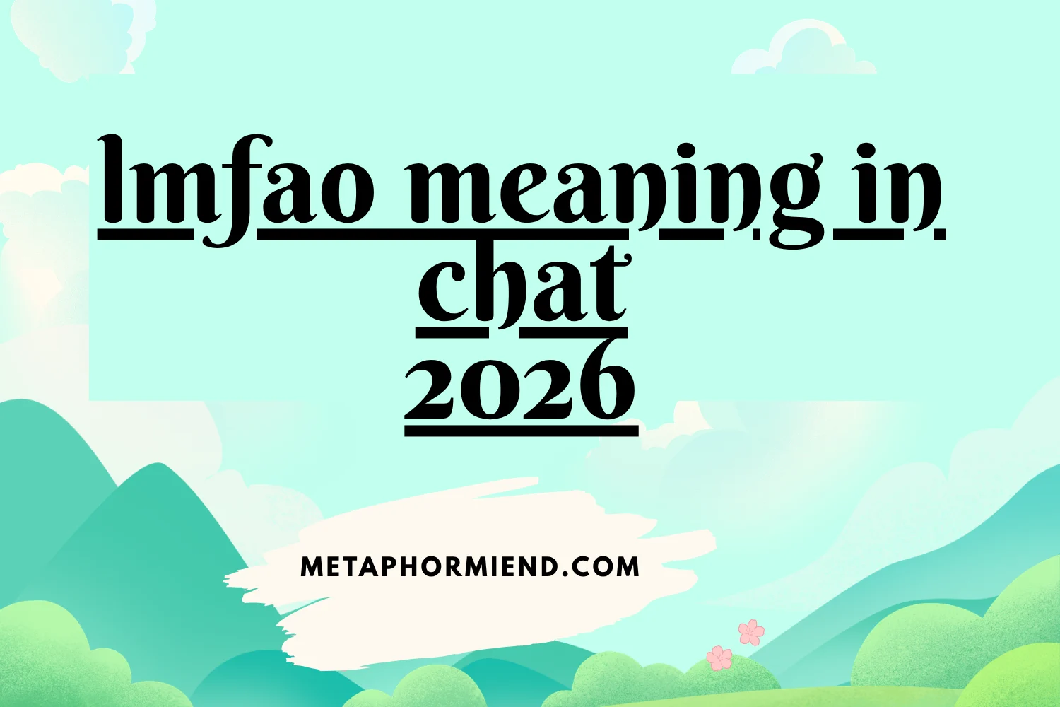 lmfao meaning in chat