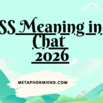 SS Meaning in Chat