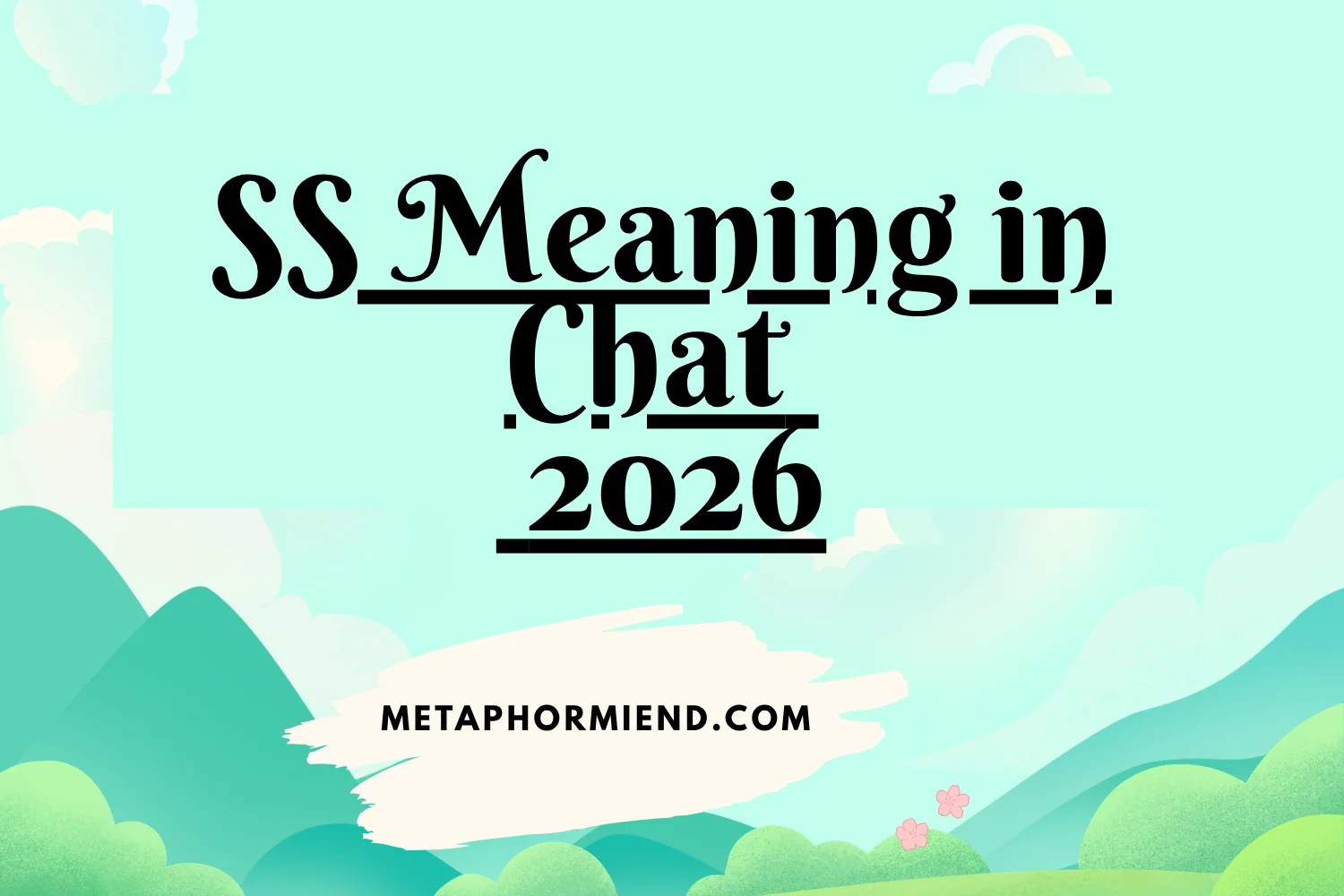 SS Meaning in Chat