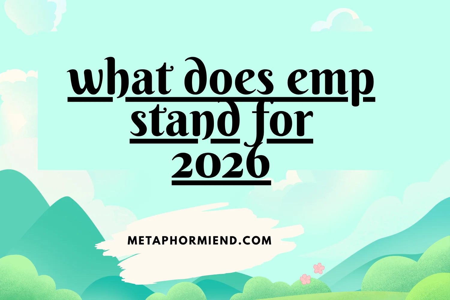 what does emp stand for
