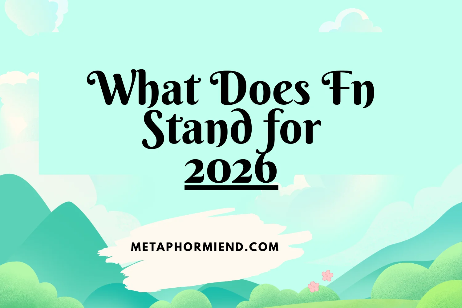 What Does Fn Stand for