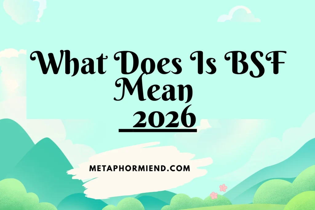 What Does Is BSF Mean
