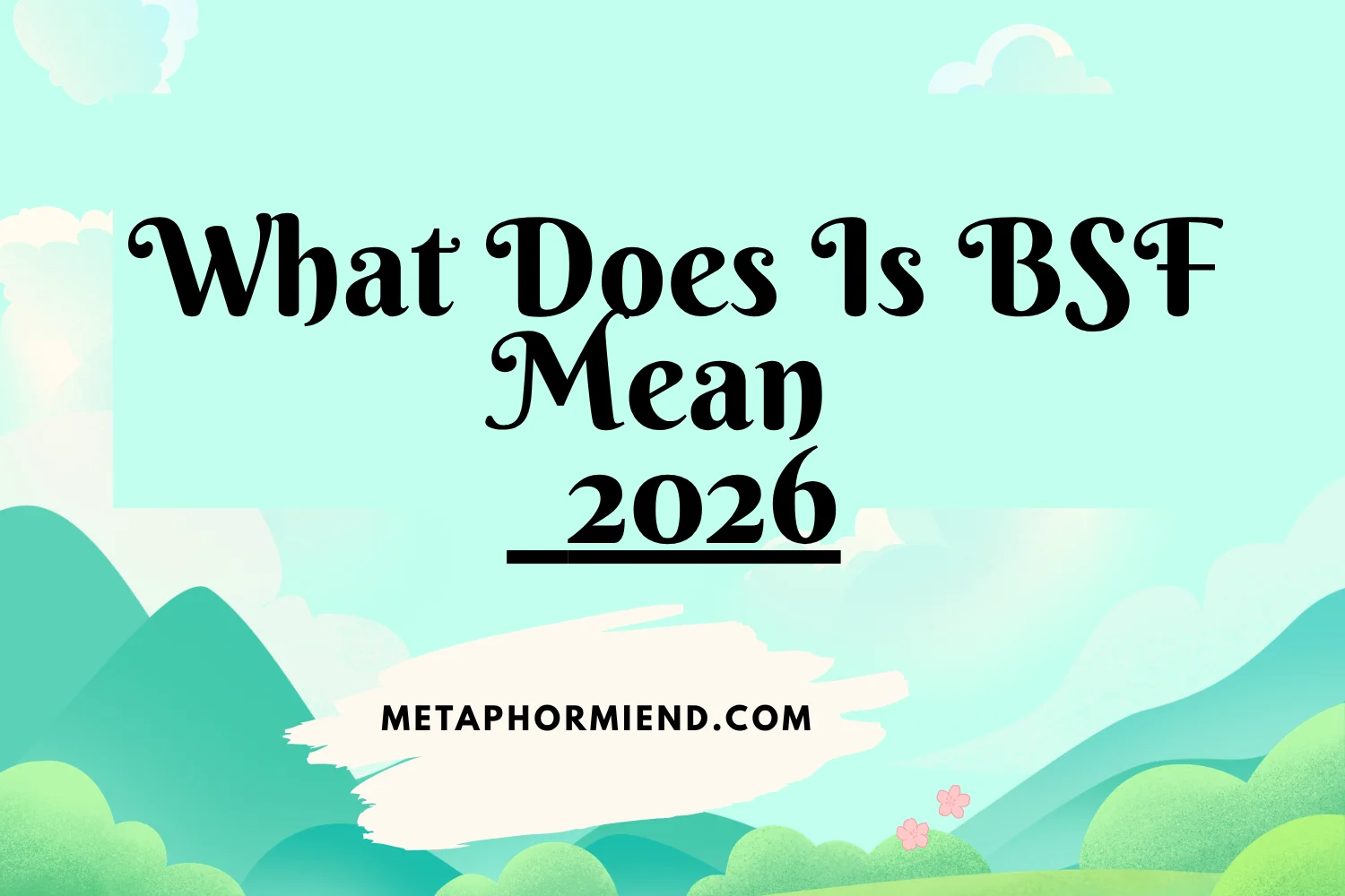 What Does Is BSF Mean