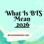 What Is BTS Mean