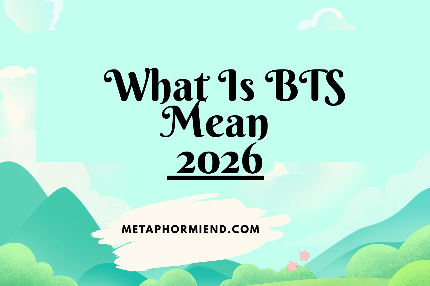 What Is BTS Mean
