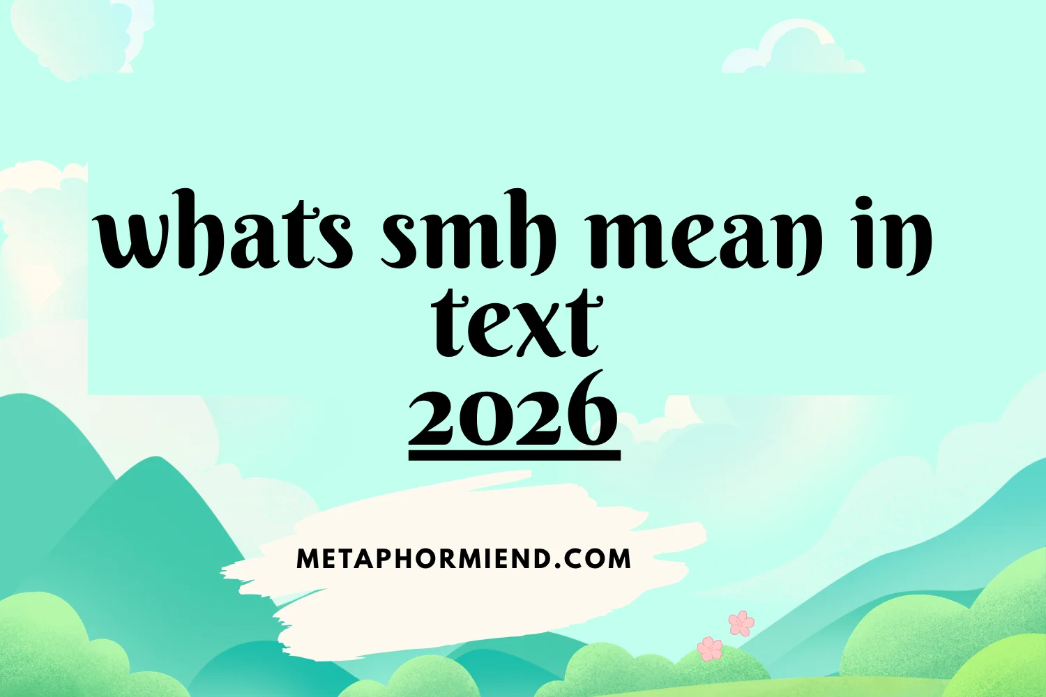 whats smh mean in text