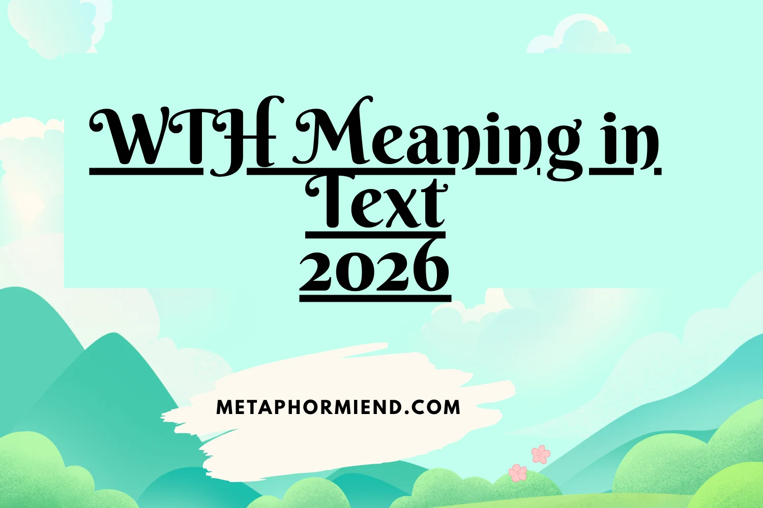 WTH Meaning in Text