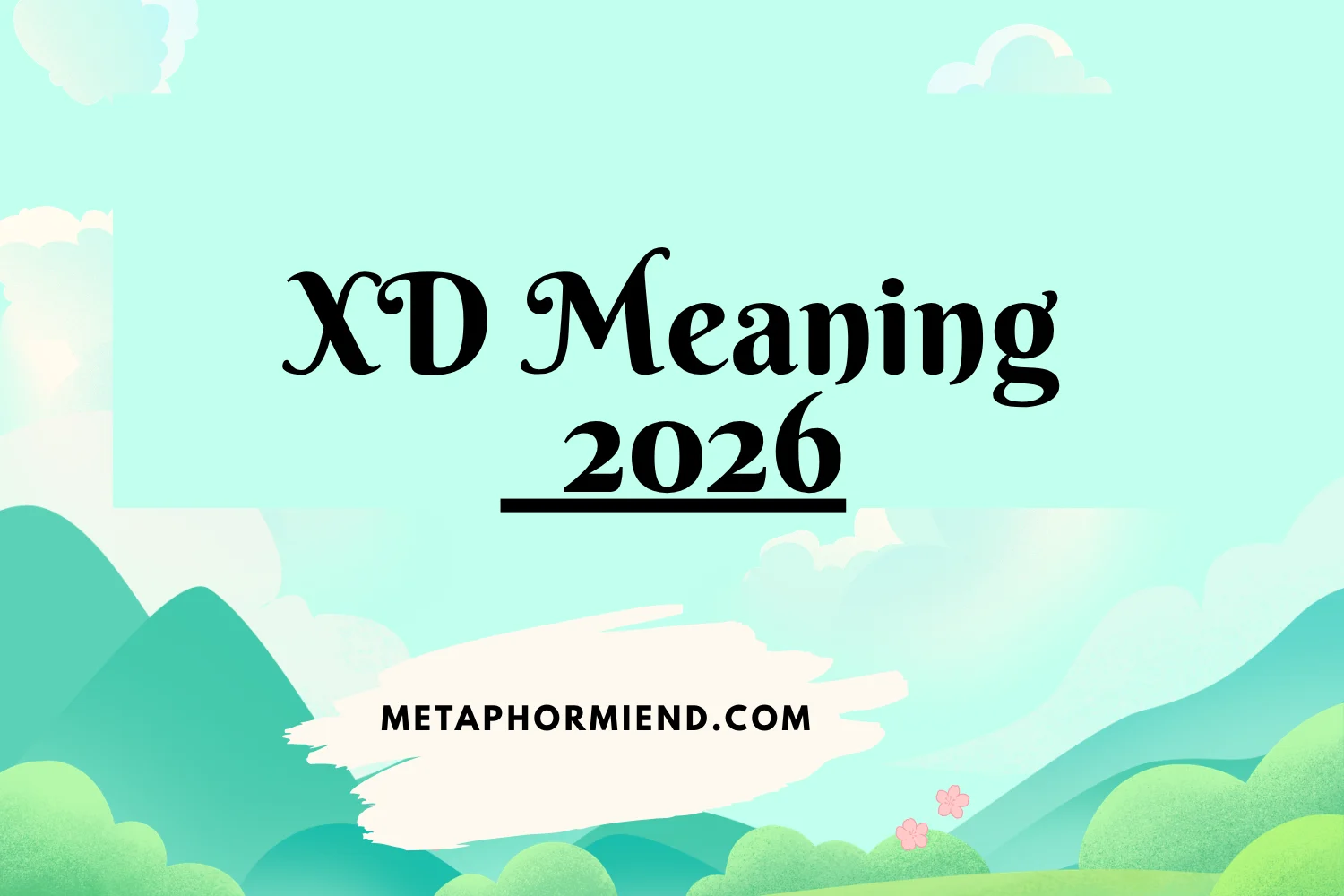 XD Meaning