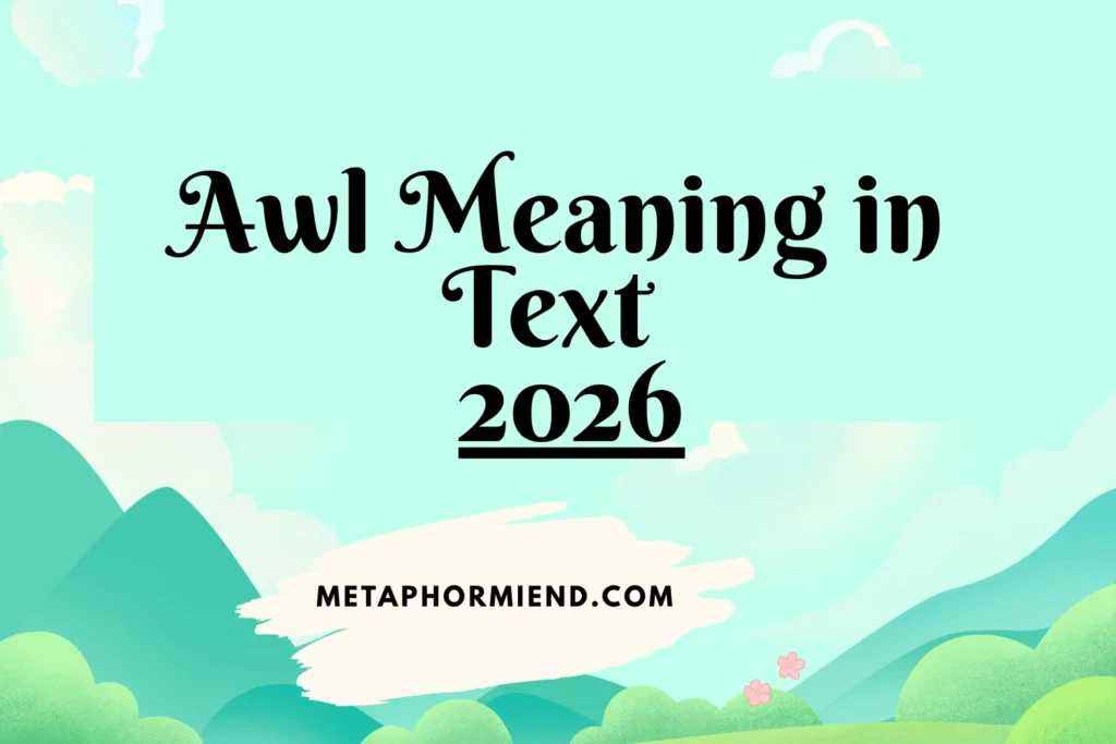 Awl Meaning in Text
