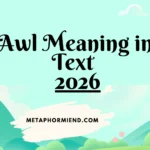 Awl Meaning in Text