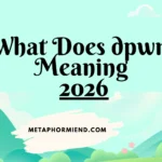 dpwm meaning