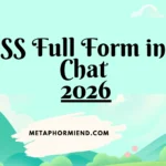 SS Full Form in Chat