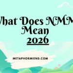 What Does NMMS Mean