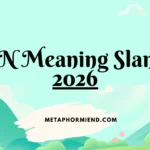 FN Meaning Slang