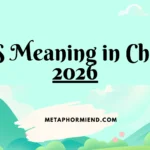 SS Meaning in Chat