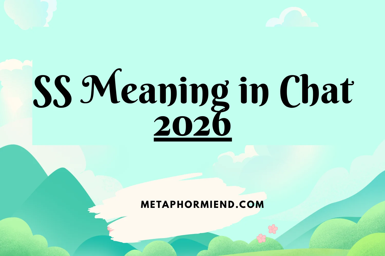 SS Meaning in Chat