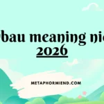 sybau meaning nice