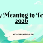 Ty Meaning in Text