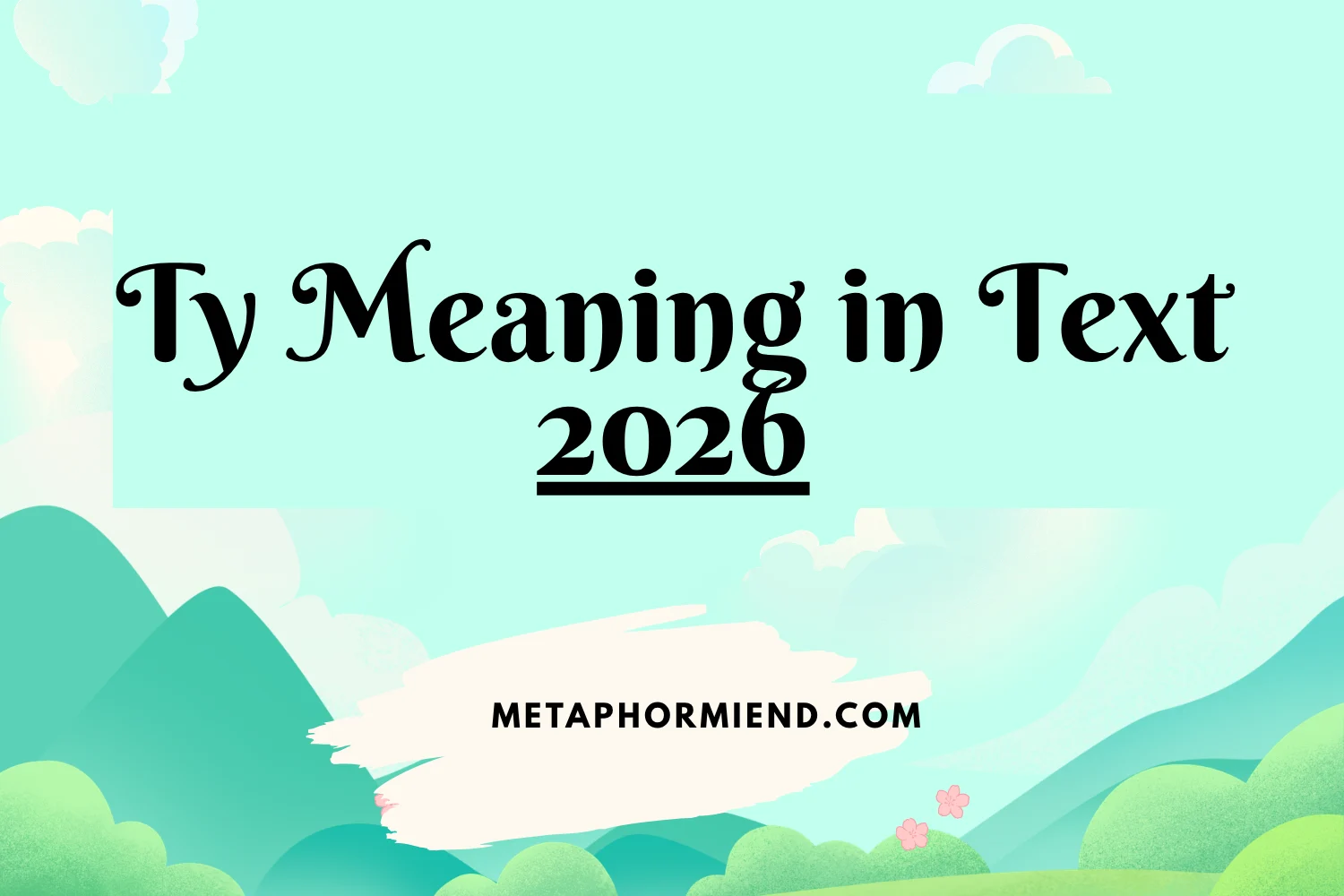 Ty Meaning in Text