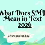 What Does SMH Mean in Text