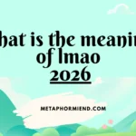 What Does LMAO Mean in Text Meaning & Examples