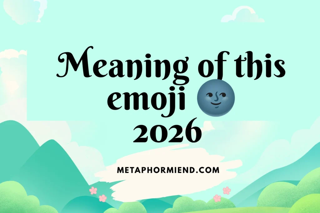 meaning of this emoji 🌚