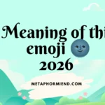 meaning of this emoji 🌚
