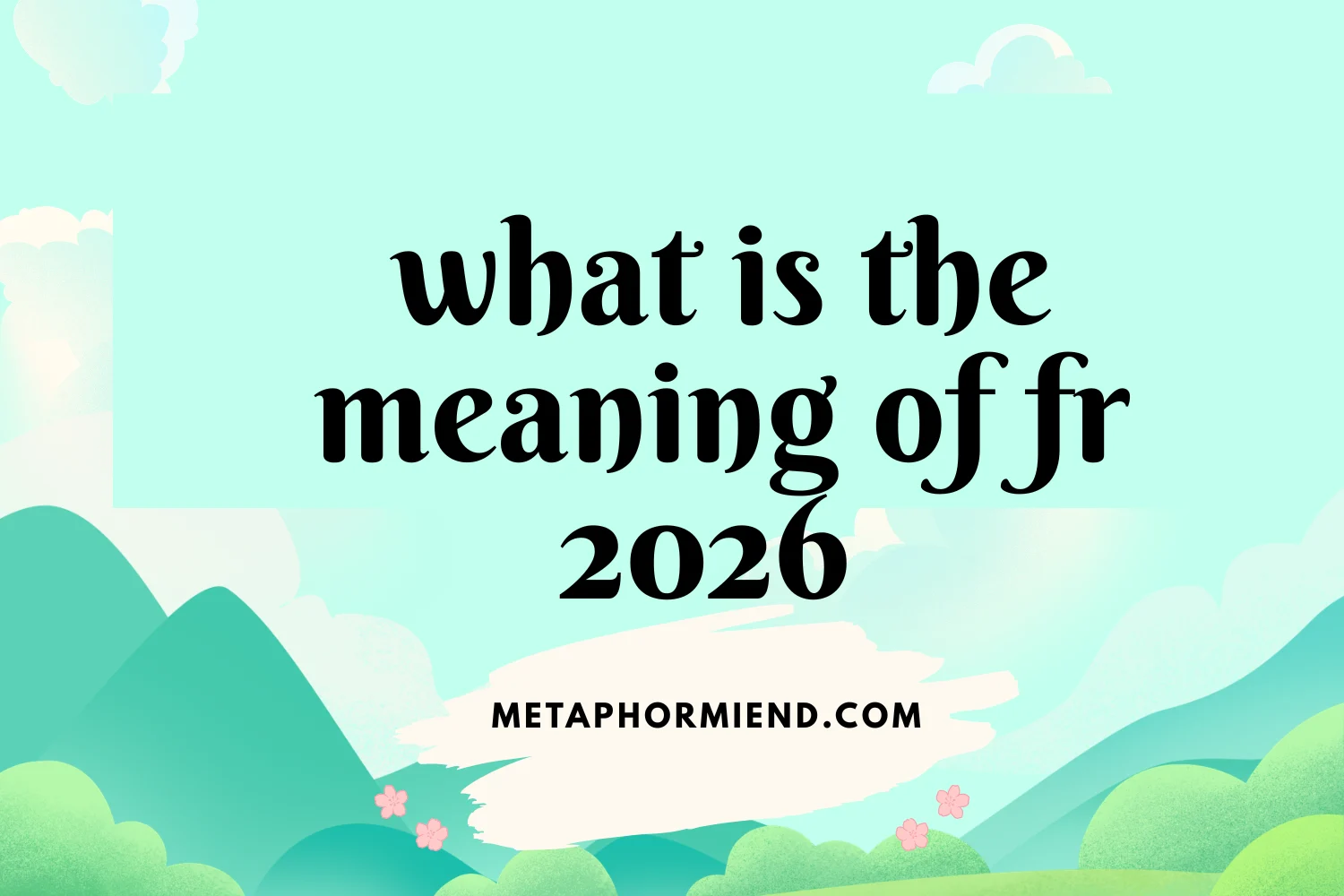 what is the meaning of fr