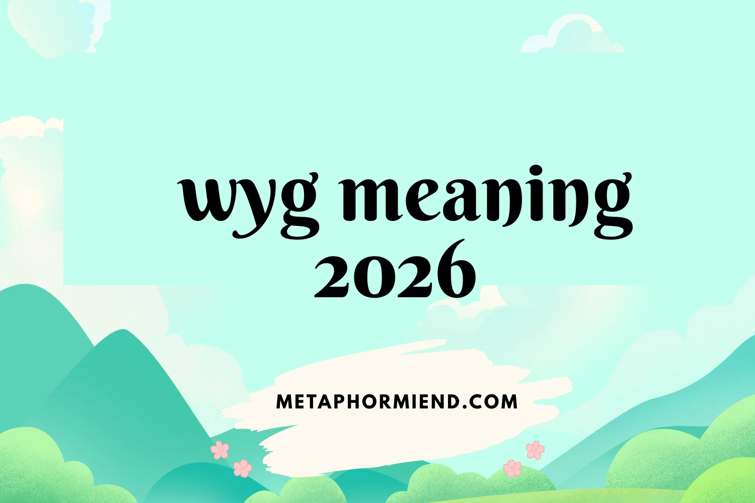 wyg meaning